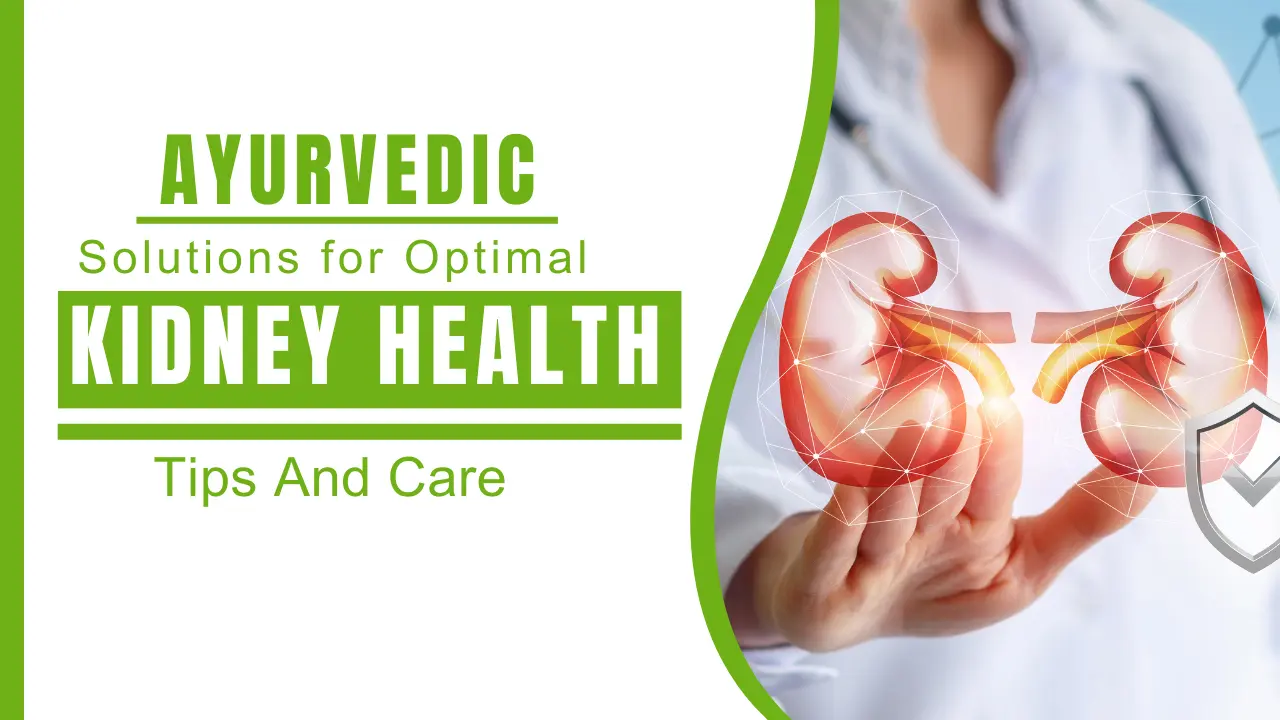 Ayurvedic Tips and Solutions for Optimal Kidney Health