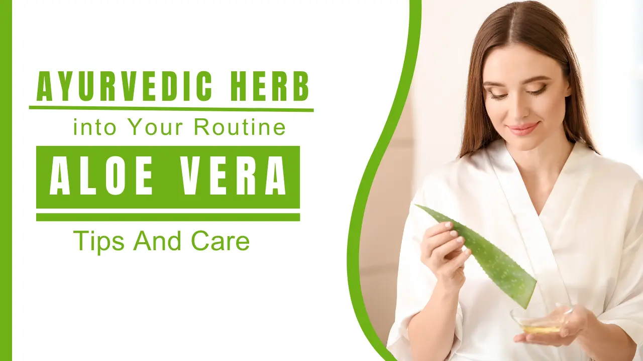 Daily Benefits of Aloe Vera_ Incorporate This Ayurvedic Herb into Your Routine