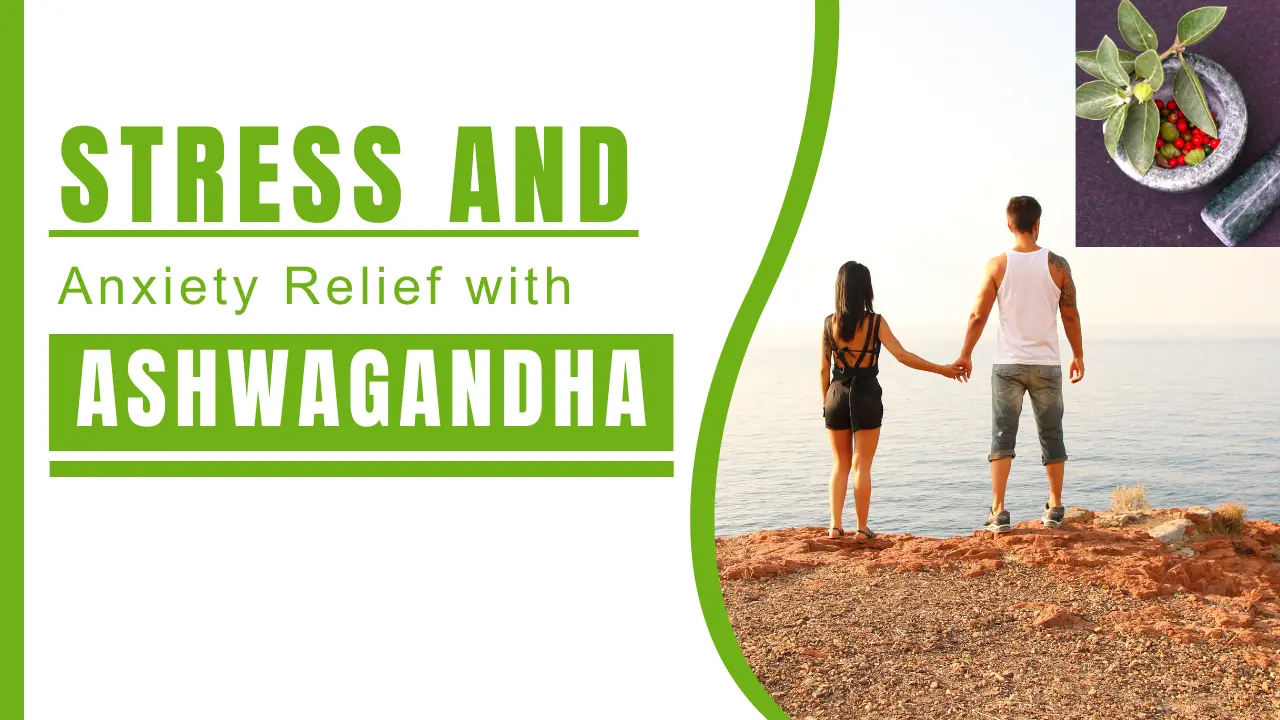 Harness the Benefits of Ashwagandha for Stress and Anxiety Relief
