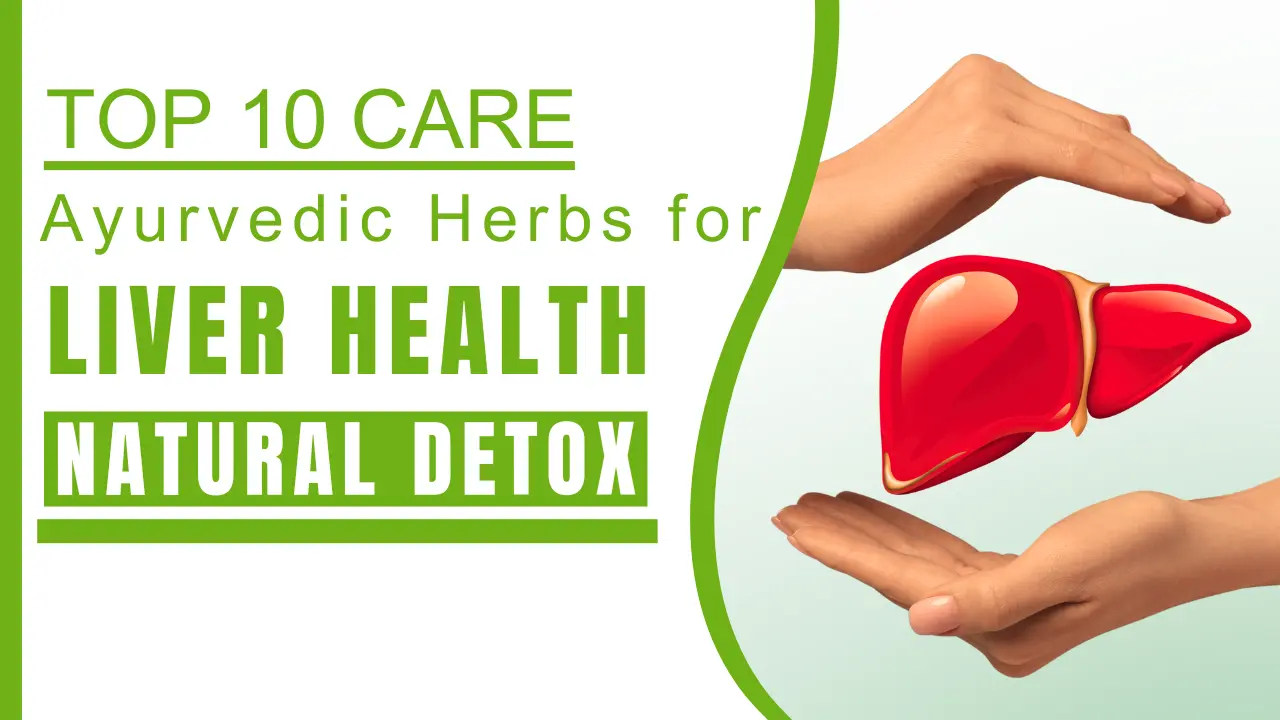 Top 10 Ayurvedic Herbs for Liver Health Natural Detox and Care - Nirogi Healthcare