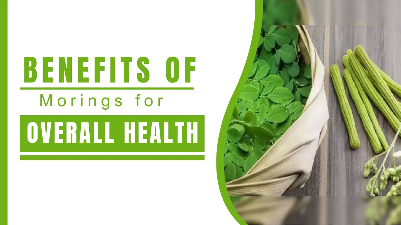 Benefits of Moringa for Overall Health - Nirogi Healthcare