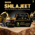 SHUDH SHILAJEET