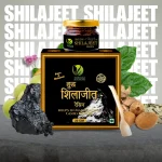 SHUDH SHILAJEET