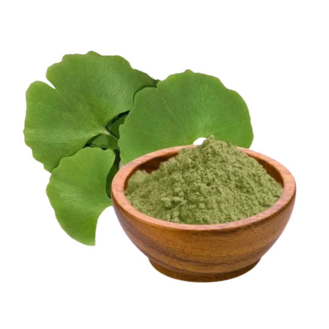 Ginkgo Biloba