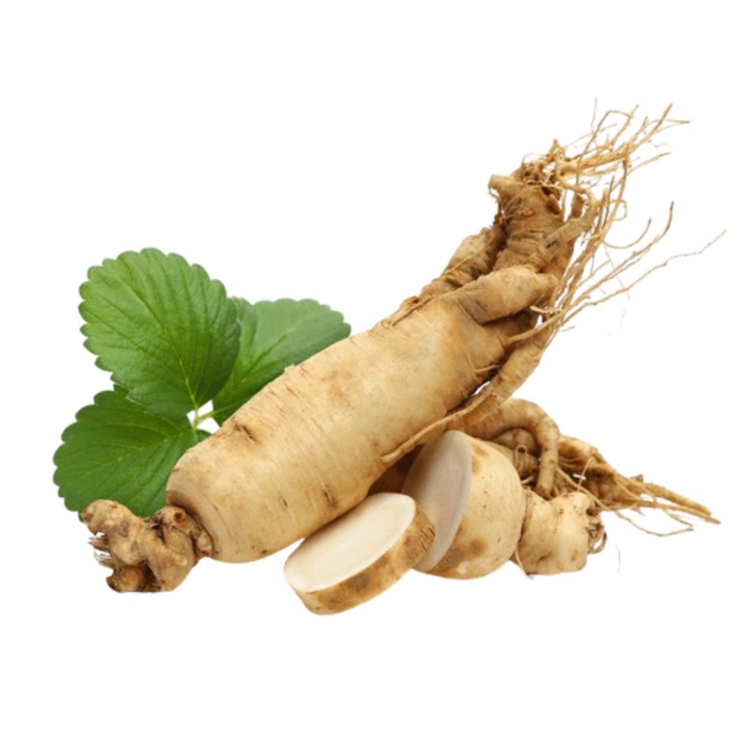 Asian Ginseng
