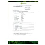 Liver xz capsule by nirogi healthcare