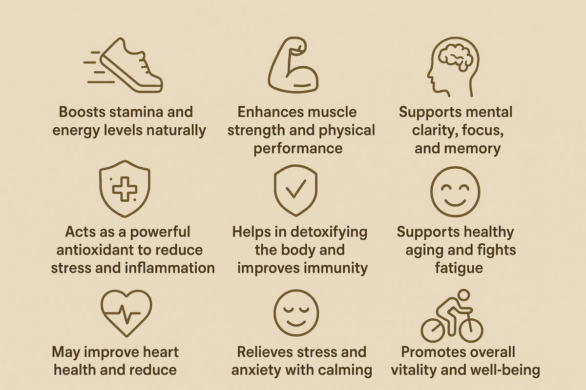 Benefits of Shudh Shilajeet