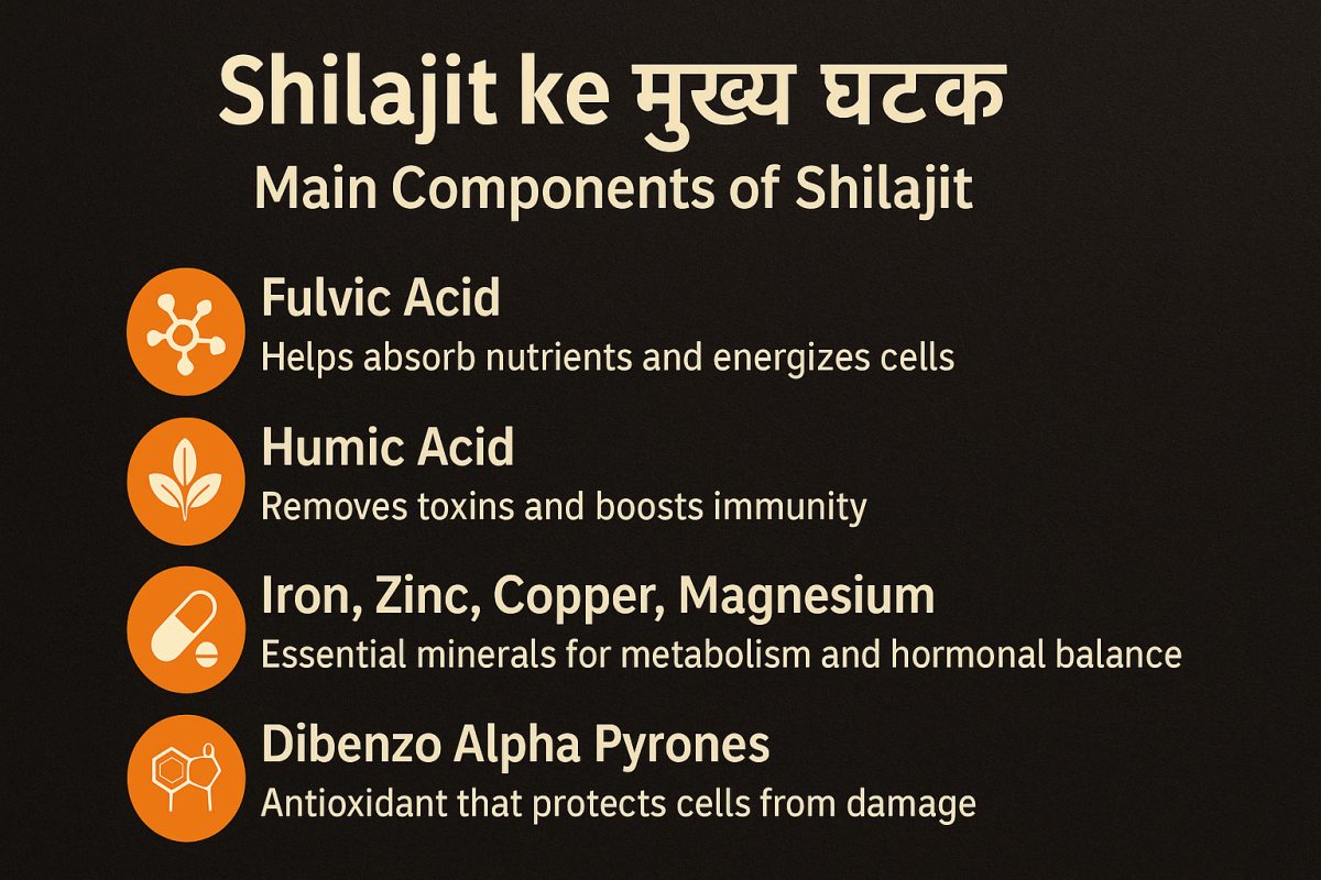 Main Components of Shilajeet