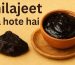 Shilajeet kya hota hai
